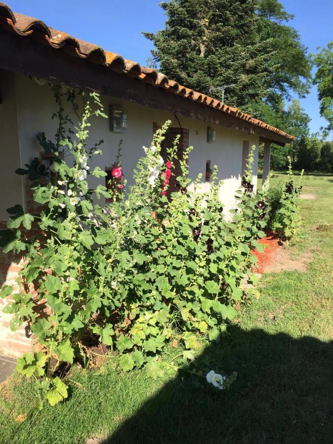 Location Gite 4 Personnes Mazeres - La Petite Maison Exterior photo