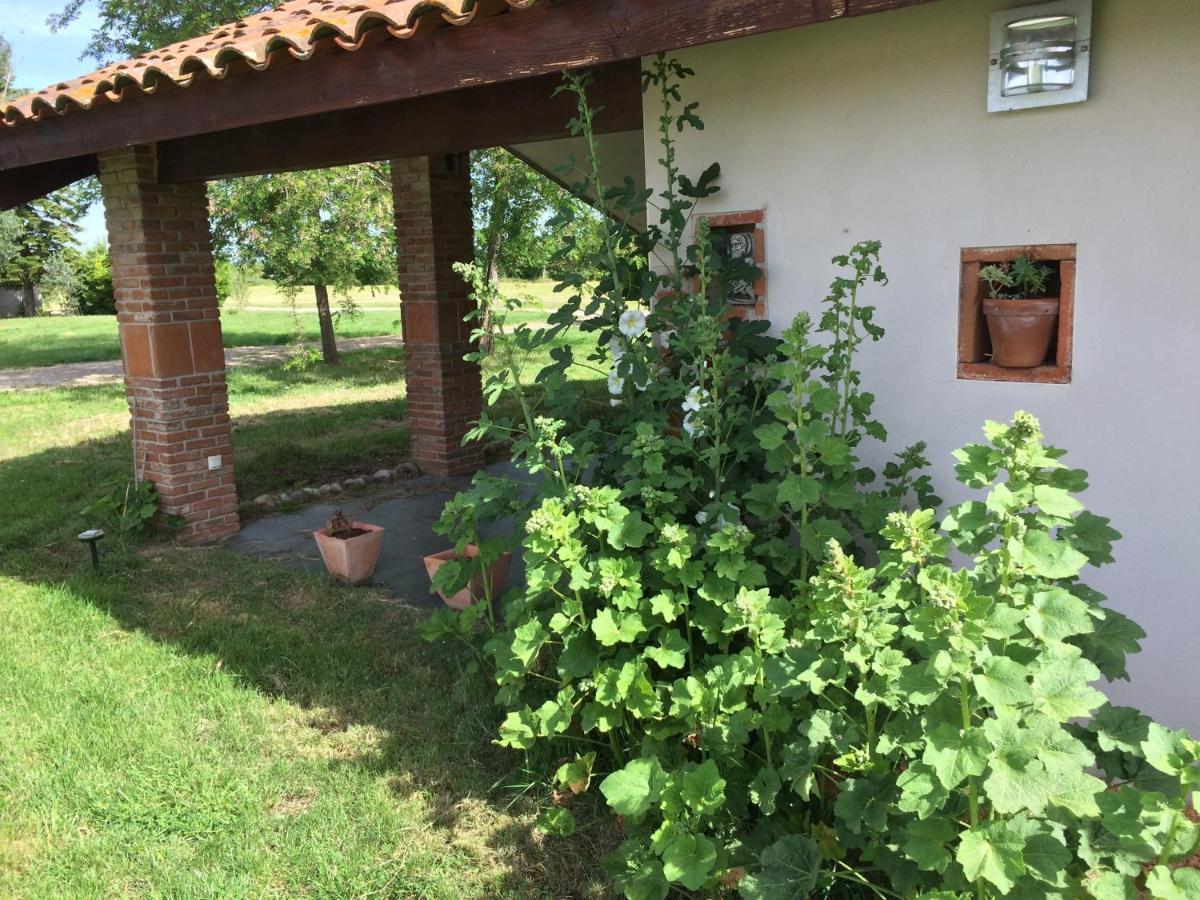 Location Gite 4 Personnes Mazeres - La Petite Maison Exterior photo